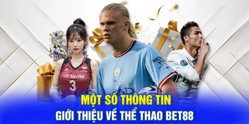 Giới thiệu tổng quan về sân chơi thể thao Bet88 trực tuyến